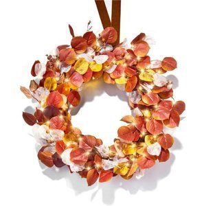 24 Inch Fall Wreath with 80 LED Lights, Colorful Fall Leaves and Berries